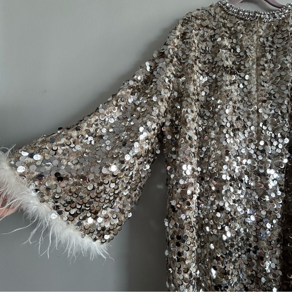 NWT RICHRADIQS Dazzling Sequined Feather Cuff Dress - Picture 8 of 16